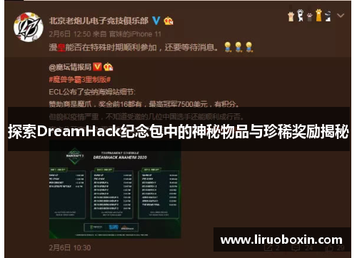 探索DreamHack纪念包中的神秘物品与珍稀奖励揭秘